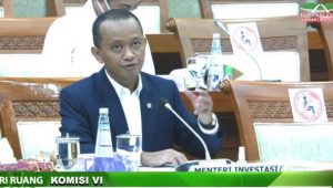 Genjot Realisasi Investasi, Menteri Bahlil Minta Menkeu Tambah Anggaran DAK DPMPTSP