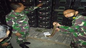 Siswa Diktukba TNI AL Angkatan LII TA 2021 Kejuruan Pembekalan Pusdikbanmin Kodiklat TNI AL Mengikuti Lattek Bekal Senamo