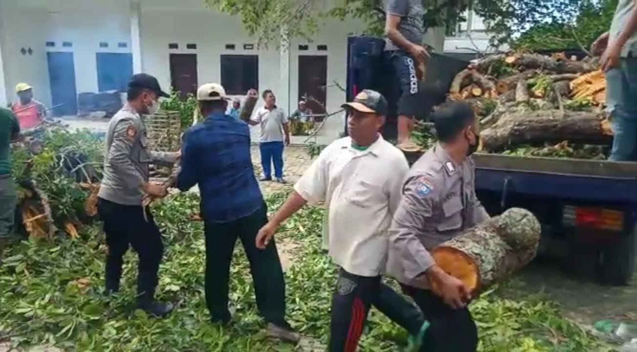 Sinergitas TNI-POLRI Dan Pemkab Sampang Bantu Bersihkan Pohon Tumbang Di Ponpes Nurul Alam Prajjan Camplong
