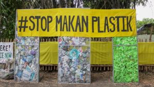 Menko Luhut: Kami Ambil Tindakan Tegas dan Berani Demi RI Bebas Polusi Plastik