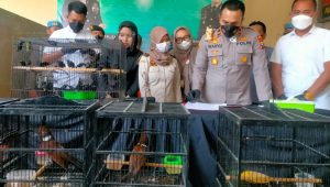 Dua Pria Pegang Burung, Diancam Penjara 10 Tahun