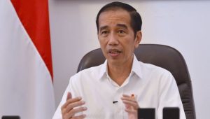 Tegaskan Komitmen Indonesia Majukan Demokrasi dan HAM