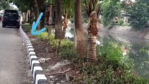 Penertiban Bantaran Kalitebu Tanah Merah Sudah Dimulai Dengan Penataan Tanaman dan Bahu Jalan, Namun Masih Ada Parkir Liar