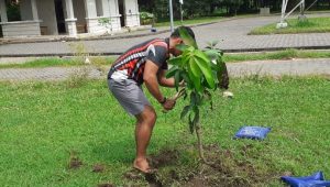 Dispen Kodiklatal Kembangkan Tanaman Buah di Sekitar Monumen Yos Sudarso