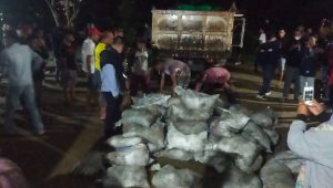 Penambang Batu Hitam Gorontalo Minta Pemerintah Turun Tangan