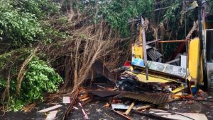Pohon Tumbang Timpa 2 Sepeda Motor Akibat Hujan Angin Puting Beliung di Kota Malang