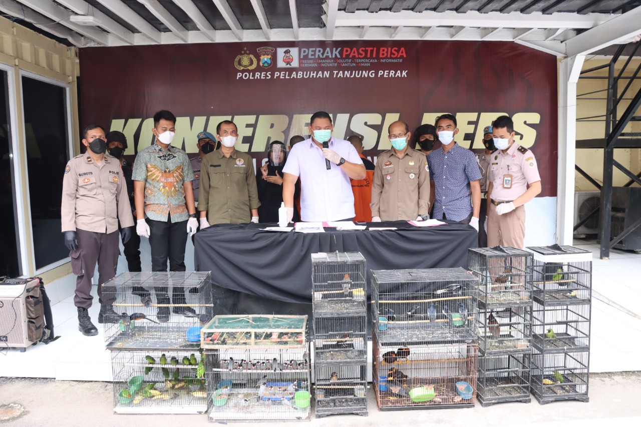 Dua Pelaku Pencuri Burung Love Bird Berhasil Diamankan Satreskrim Polres Pelabuhan Tanjung Perak