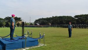 Wadan Kodikmar Pimpin Apel Gabungan Jajaran Kodikmar