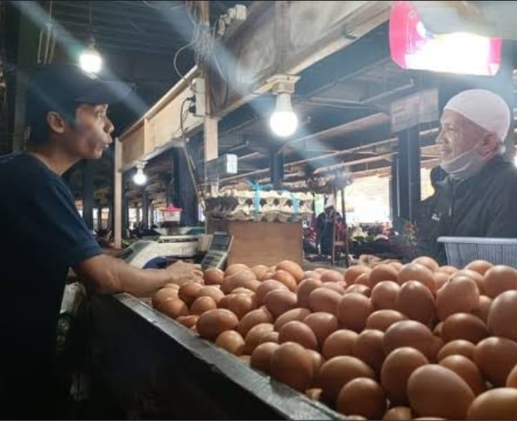 Usai Lebaran Harga Telur Ayam di Kota Malang Naik Jadi Rp27.000/kg
