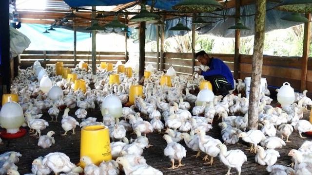 Kisah Sukses Napi Lapas Bangkinang
