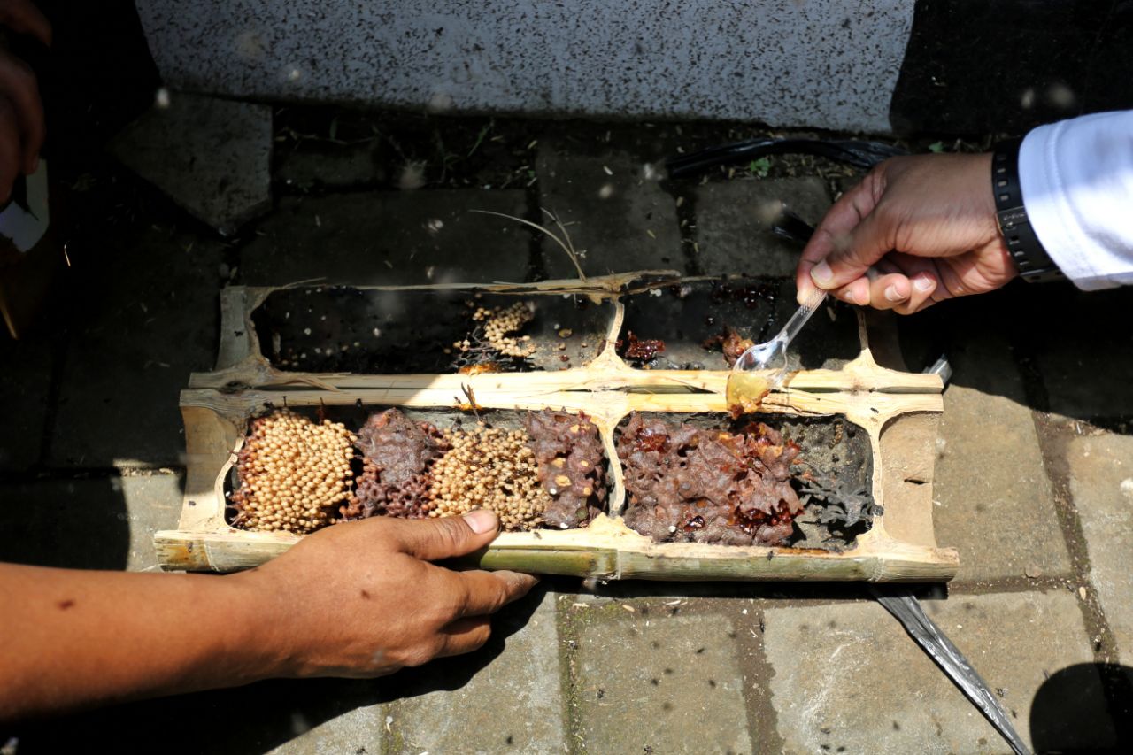 Warga di Kelurahan Cibangkong Tingkatkan Ekonomi dengan Urban Bee