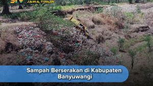 Sampah Merajalela, Bupati Banyuwangi Harus Bertanggung jawab