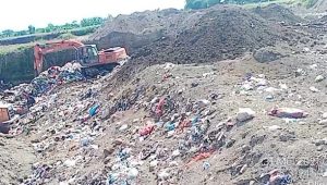 Rencana Pemberian Penghargaan Adipura kepada Pemkab Banyuwangi Dipertanyakan Oleh LPBI INVESTIGATOR