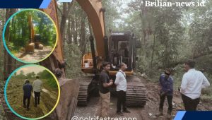Merasa Kebal Hukum, Pemilik Tambang Ilegal Oknum Ketua LSM di Probolinggo Keok Ditangan Polda Jatim dan Polres Probolinggo