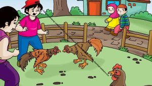 Istimewa Judi Sabung Ayam Pasar Patok Dengkol Akan Diresmikan