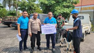 DayasaPaper Berbagi Hewan Qurban di Hari Raya Idul Adha 1444 H