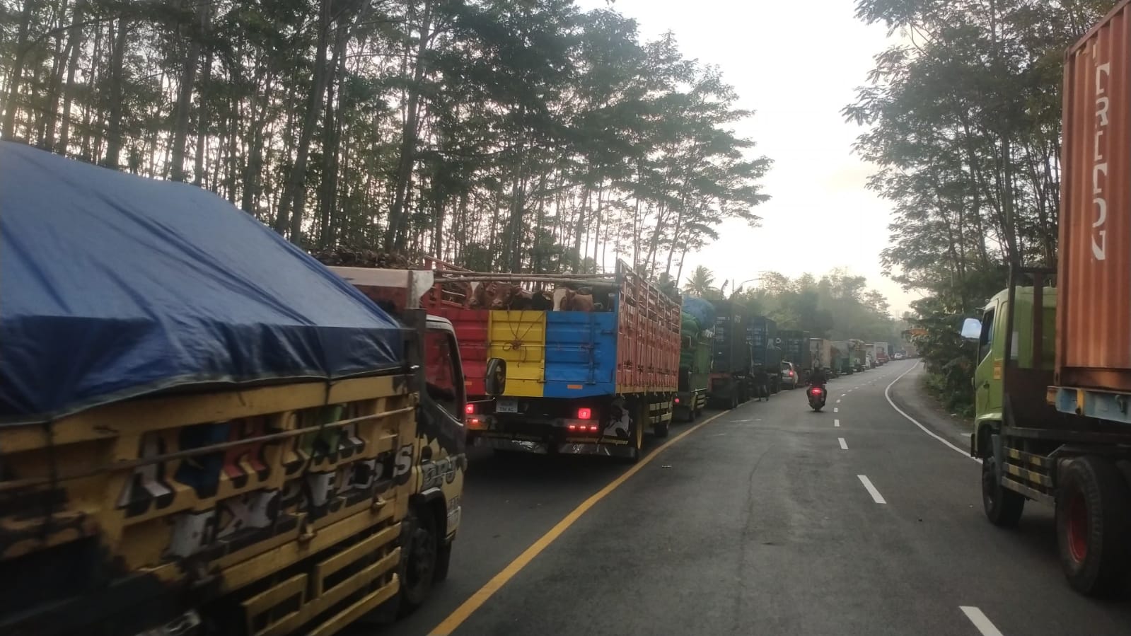 Harapan Warga Terkait Proyek Jalan Lumajang – Probolinggo