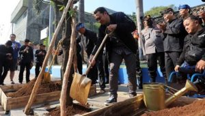 Hijaukan Bandung: Penanaman Pohon Pule di Jalan Sudirman Mendapat Dukungan Luas