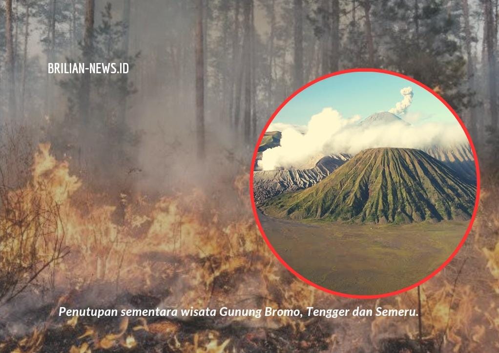 Efek Banyaknya Kebakaran Hutan, Kawasan Wisata Nasional Bromo Sementara Ditutup