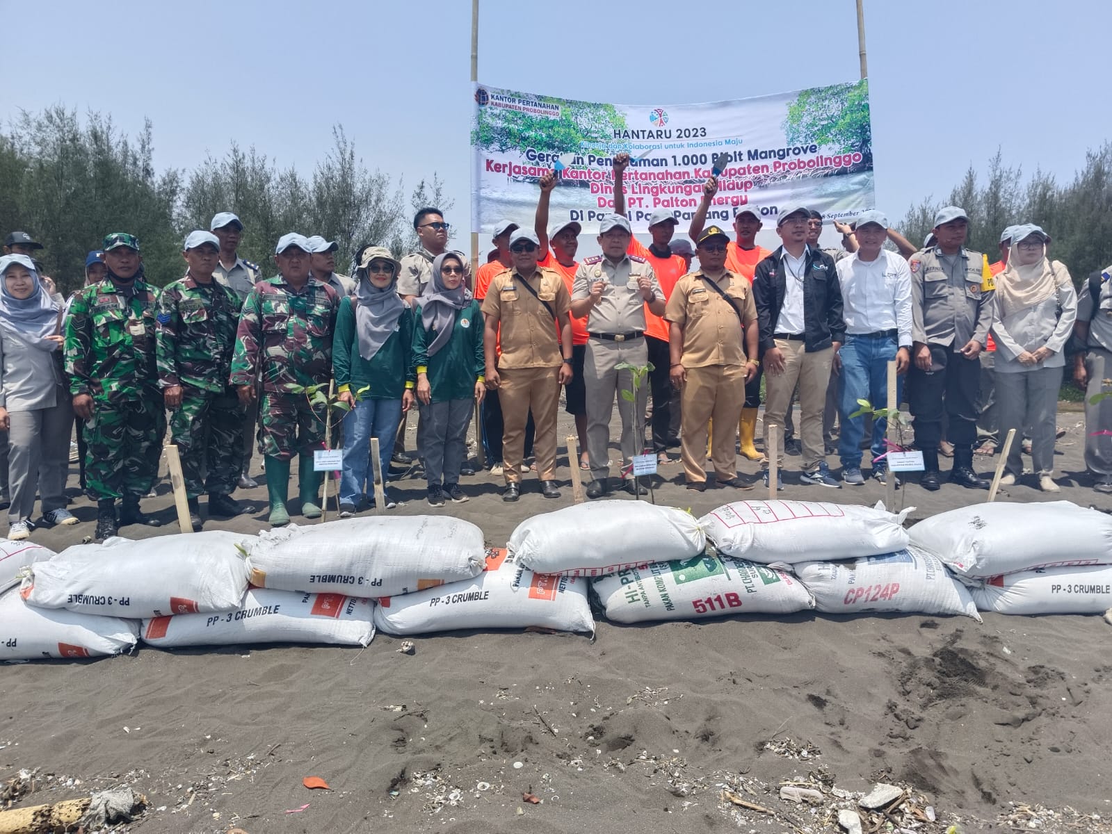 Hijaukan Daerah Pesisir, Koramil Paiton Tanam Mangrove