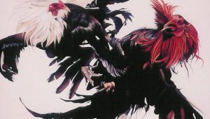 Tunggu Ketegasan APH, Beranikah Polisi Bubarkan Sabung Ayam di Dusun Tulusayu