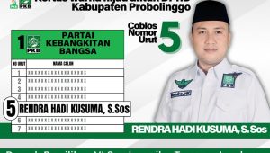 Rendra Hadi Kusuma,S.Sos., Ikut Terpanggil mewakili Kaum Milenial Pada Kontestasi Pemilu Legislatif 2024, CALEG PKB Kabupaten Probolinggo