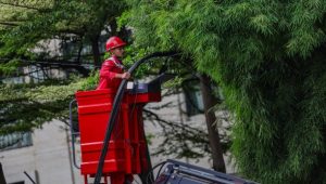 Kota Bandung Bebas Kabel : Penurunan Kabel Udara di Jalan Riau