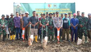 Dandim Probolinggo Letkol Arm Heri Budiasto Bersama Sejumlah Pihak Lakukan Penanaman Jagung