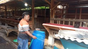 Giat Kepala Desa Umar Demi Meningkatkan Kesehatan Dan Kesuksesan Ketahanan Pangan