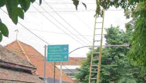 Jaringan Tetap Handal Saat Cuaca Ekstrem, PLN Icon Plus dan PLN UP3 Banyuwangi Menata Kabel di Tiang PLN