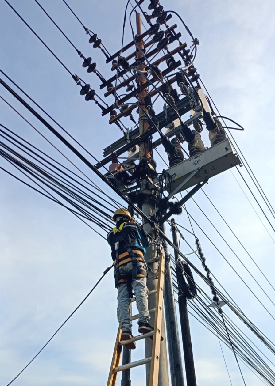 Lancarkan Apel Siaga Idul Fitri 1445 H, PLN Icon Plus Lakukan Penataan Kabel Di Gresik