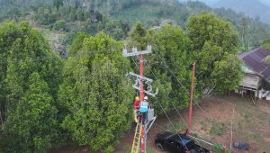 Akhirnya, 33 Dusun Terpencil Sulawesi Selatan Dilistriki PLN, Menyala 24 Jam!