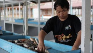 Kontribusi Tingkatkan Perekonomian Masyarakat, PLN Group Borong Penghargaan CSR Awards 2024 Kementerian Desa PDTT
