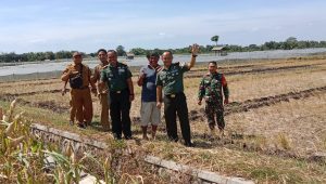 Dandim 0820/Probolinggo Letkol Arm Heri Budiasto Pantau Program Irigasi Perpompaan