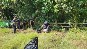 “Peringati Hari Lingkungan Hidup Internasional 2024, PT PLN (Persero) UIP JBTB Gelar Employee Green Involvement Tahun 2024”