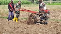 Koramil Besuk dampingi petani (foto: istimewa)