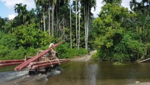 Untuk Bangun Kelistrikan Daerah Terpencil PLN Ajukan PMN 2025 Sebesar Tiga Triliun