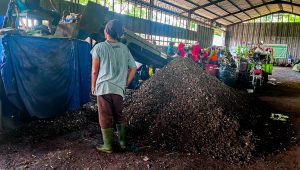 PLN Kolaborasi dengan Pemda Banyumas Manfaatkan Sampah untuk Co-firing PLTU
