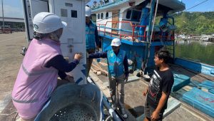 Jauh Lebih Hemat dan Cepat, Nelayan Tapanuli Tengah Kini Gunakan Listrik dari SPLU PLN di Tempat Pelelangan Ikan