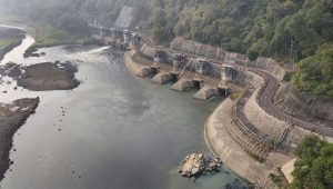 Perusahaan Media Mulai Gunakan REC PLN, Wujud Komitmen Pemanfaatan Energi Bersih