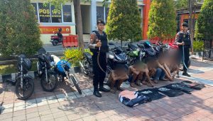 Aksi Balap Liar Berujung Penangkapan, Polres Gresik Amankan Pemuda Bersenjata Tajam