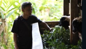 Pengembangan Biomassa PLN di Tasikmalaya: Dikelola Masyarakat, Didukung Pemerintah