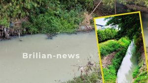 Kembali Berulah!! Aliran Sungai Wangi Kembali Berubah Warna serta Berbau Tak Sedap