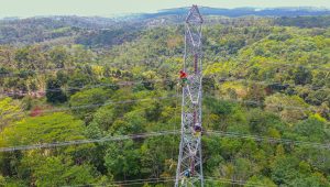 Nataru:  Rampungkan Pembangunan SUTT 150 kV Lubuk Linggau-Tebing Tinggi, PLN Perkuat Sistem Kelistrikan Sumsel