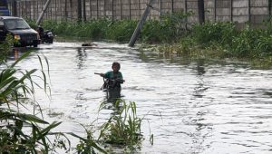 Setelah Cuaca Panas Menyengat, Hujan Deras Sebabkan Banjir di Driyorejo