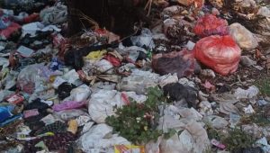 Iuran Sampah Dipertanyakan, Ketua RW Soroti Keterlambatan  Pengangkutan di Kota Bandung