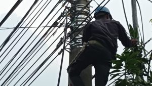 Laksanakan Penataan dan Pendataan Kabel Ilegal di Tiang PLN Sidoarjo, PLN Icon Plus Konsisten Jaga Keandalan Jaringan
