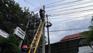 PLN Icon Plus Tertibkan Kabel Ilegal di Tiang PLN Kota Sidoarjo untuk Dukung Mandiri U-20 Challenge Series