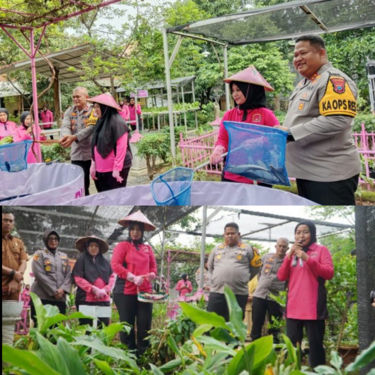 Kapolres Pasuruan Dukung Program Pekarangan Pangan Lestari di Polsek Pandaan
