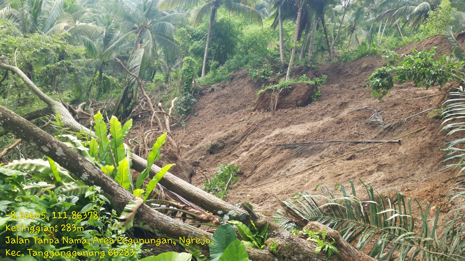 Proyek Jalan Lintas Selatan Desa Ngrejo Banyak Warga Yang di Rugikan Siapa Yang Bertanggung Jawab……?
